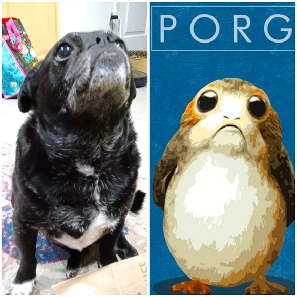 Meet your Posher, Melanie (Violet). - Picture 14 of 16